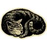 cat dreaming about cat things (possibly after doing relaxation)