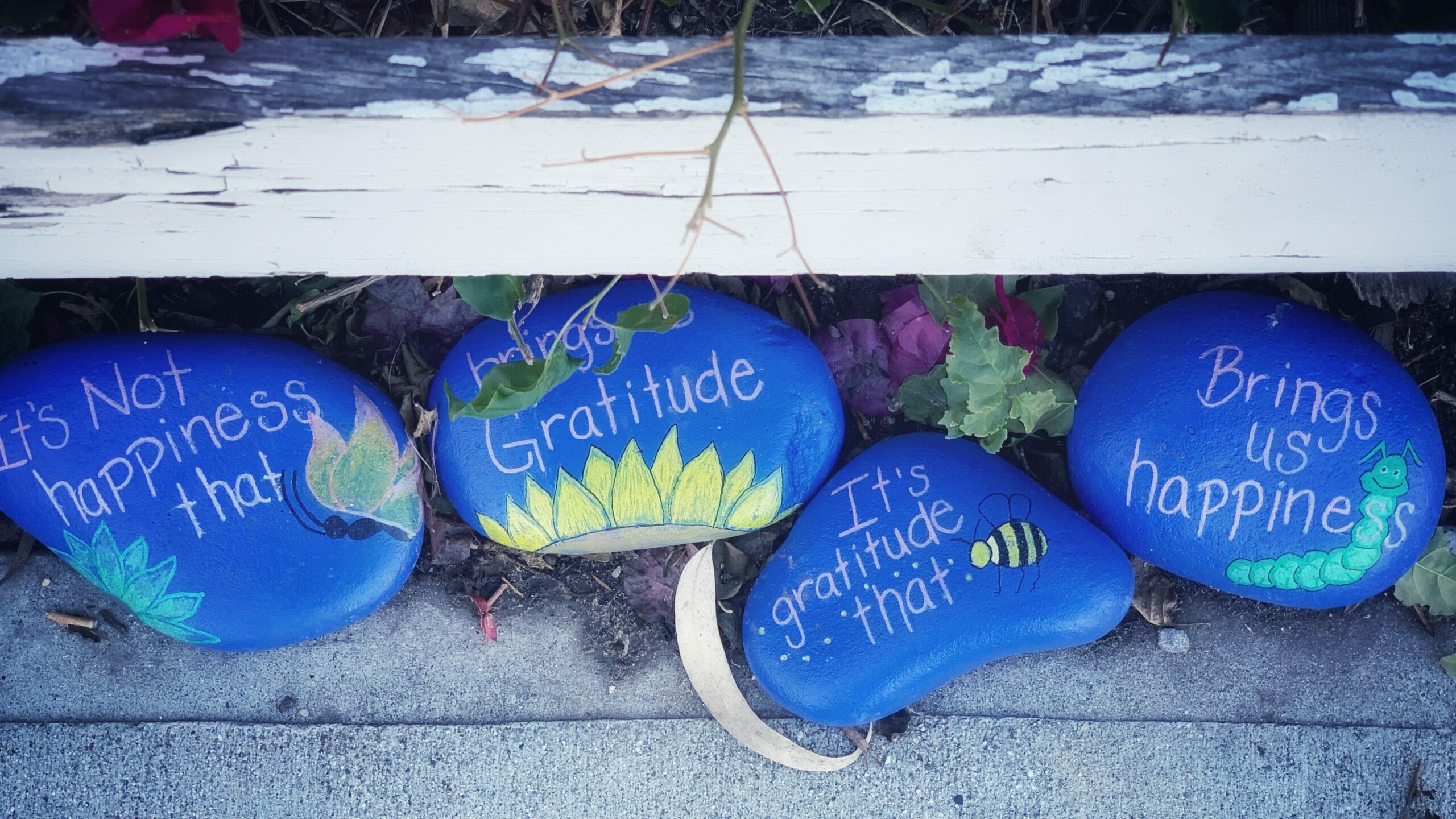 Yoga Retreat: Gratitude Transforms